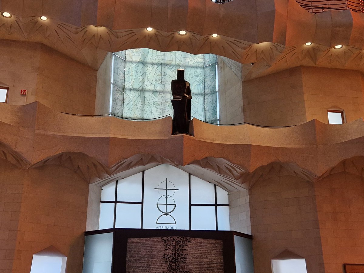 RED PILL MONKEY 🔴🐒 tweet media