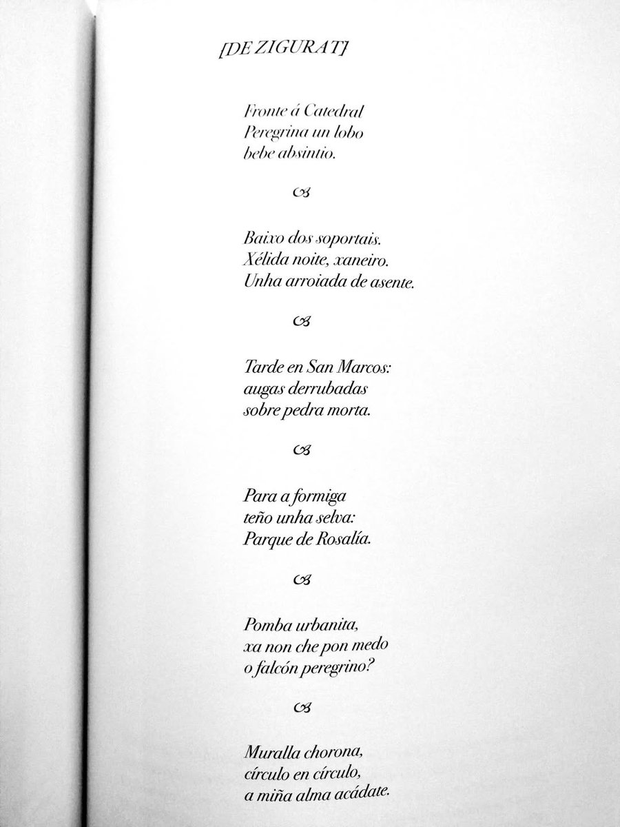 Concello de Lugo tweet media