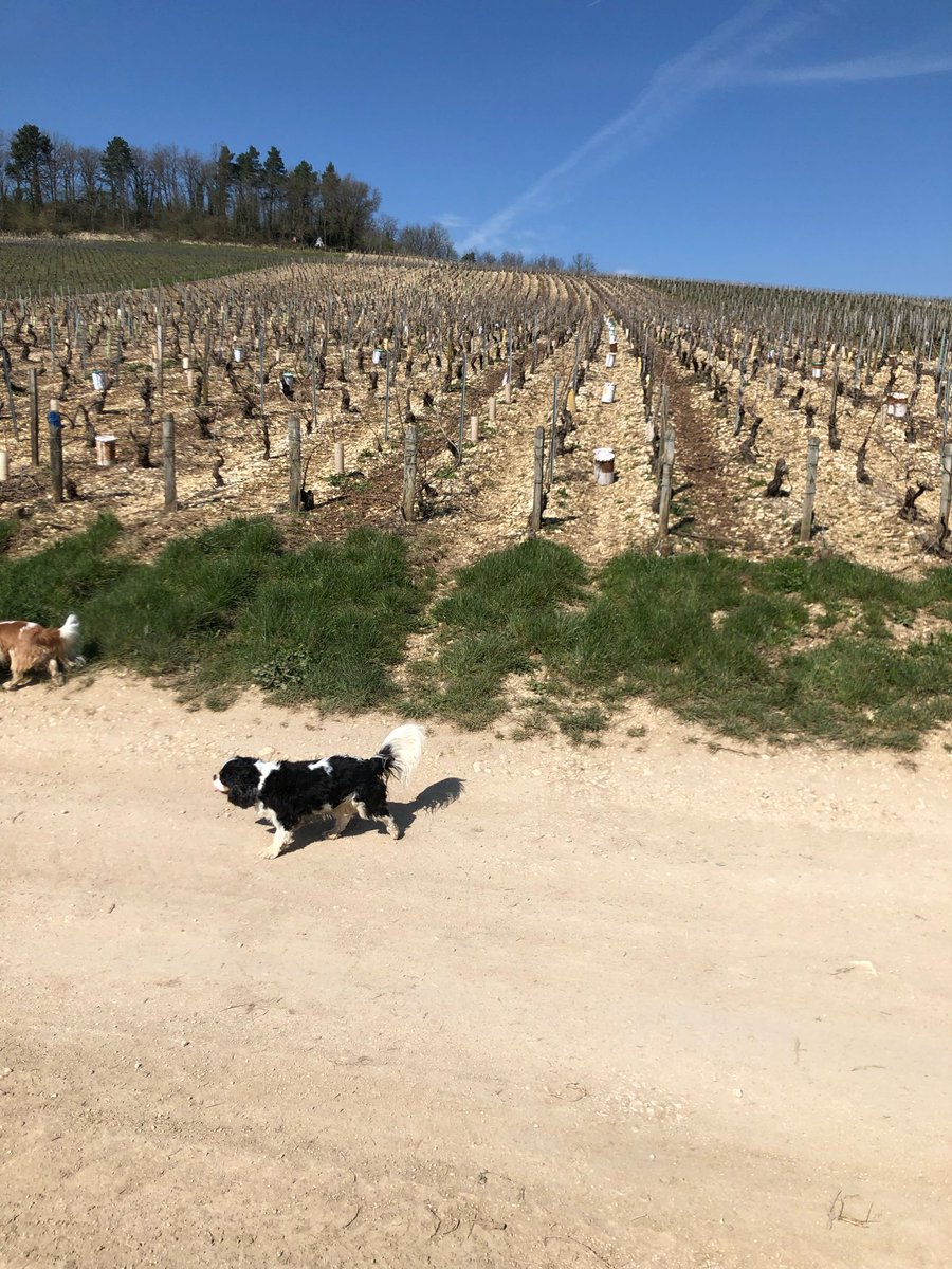 John Abbey tweet media