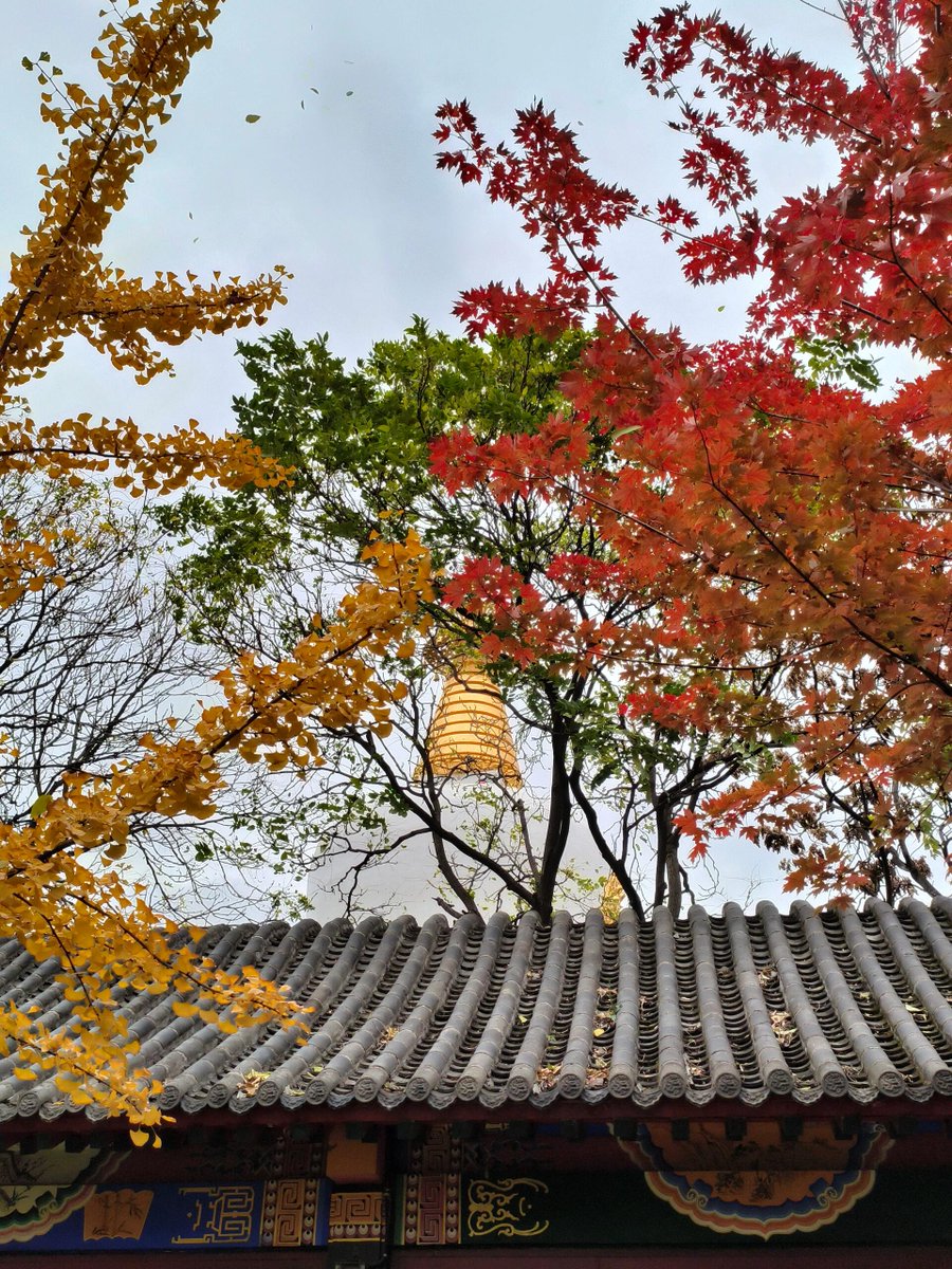 tyler green tweet media