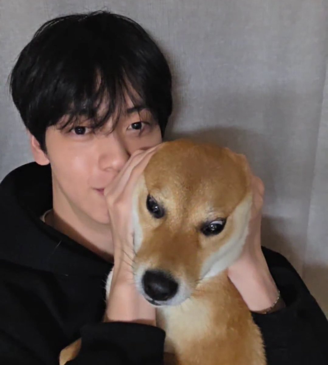 🐱🍀🐰 tweet media