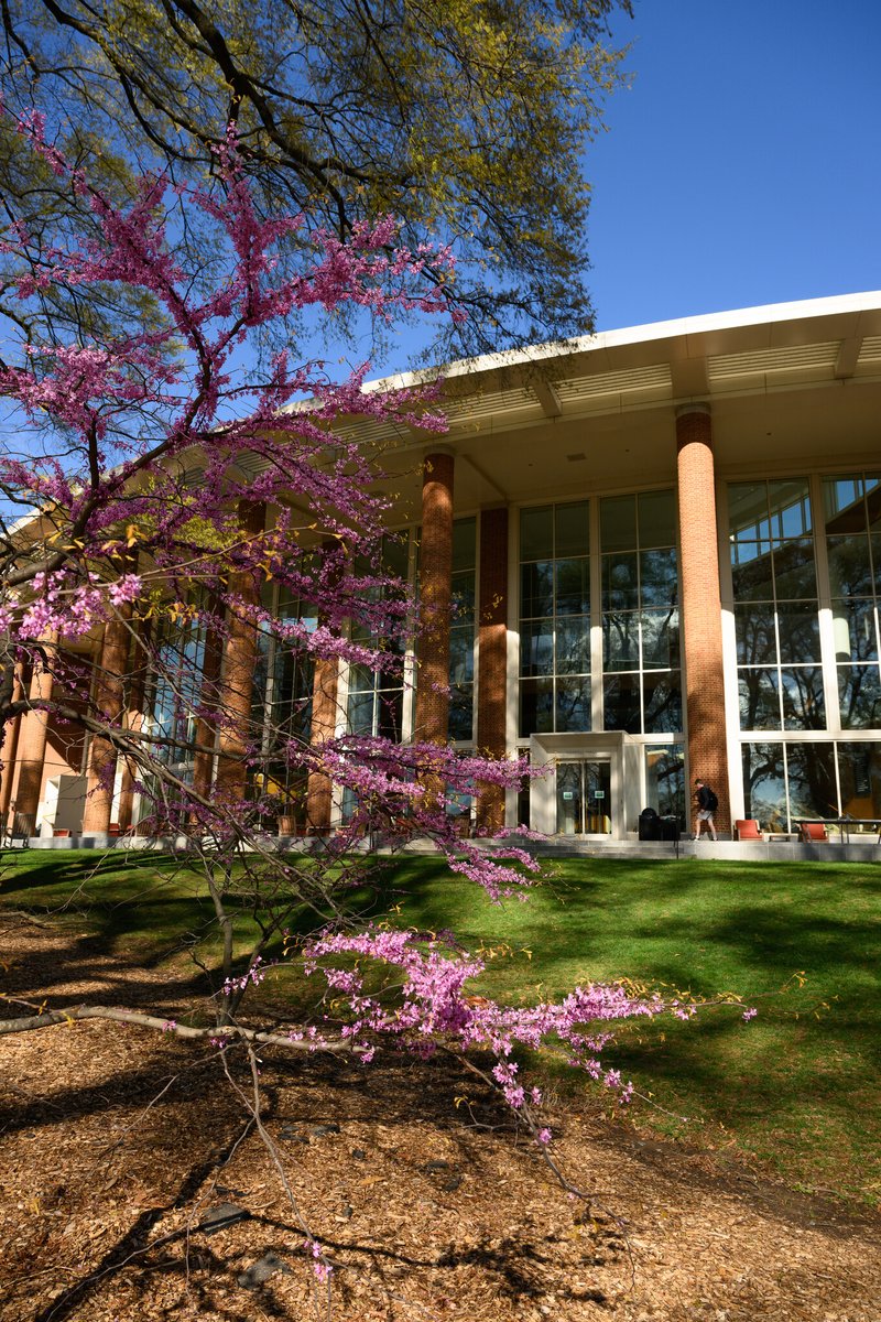 Wake Forest University tweet media