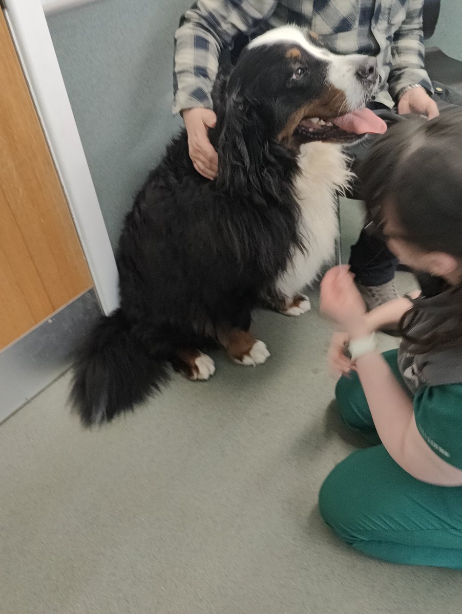 Brie's World 🌍🇬🇧🇨🇭 tweet media