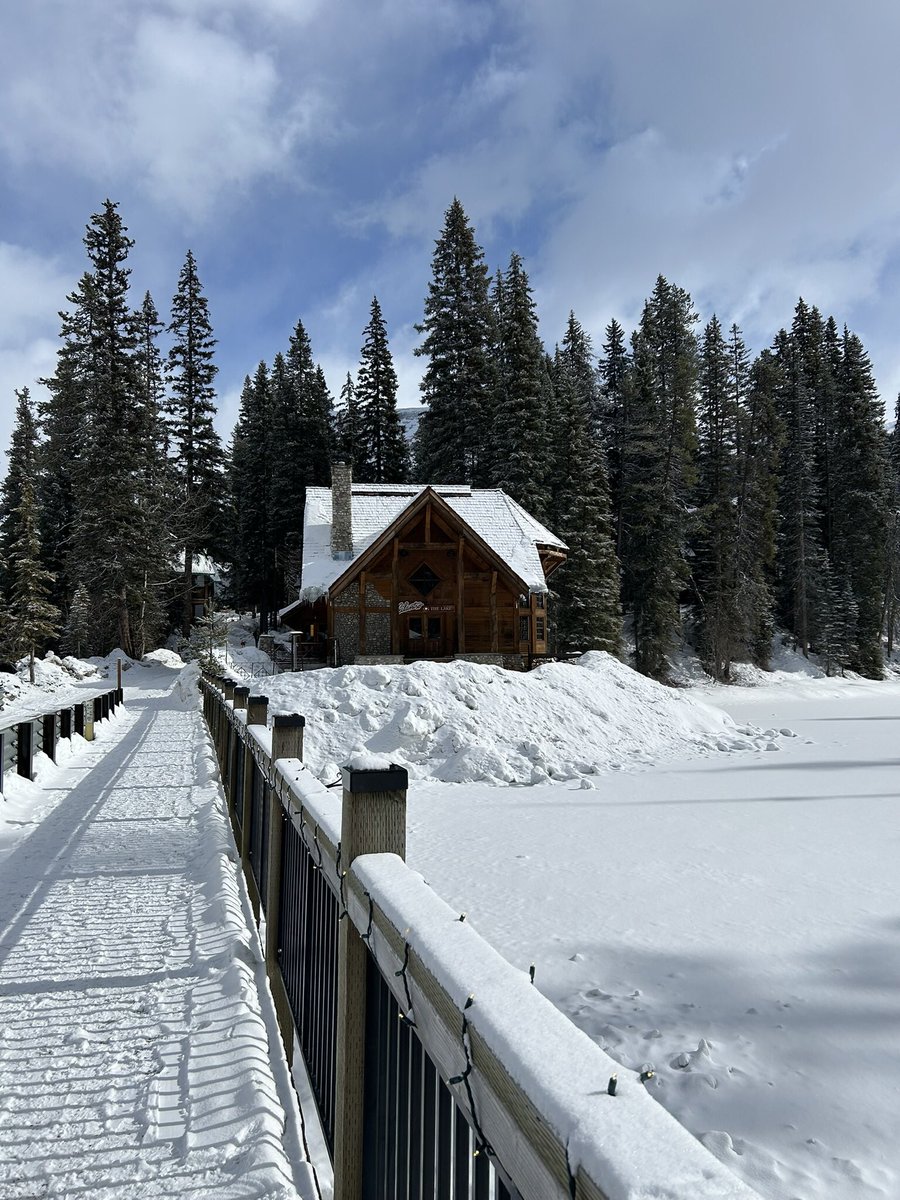 karen โค๏ธโ๐ฅ๐๐น tweet media