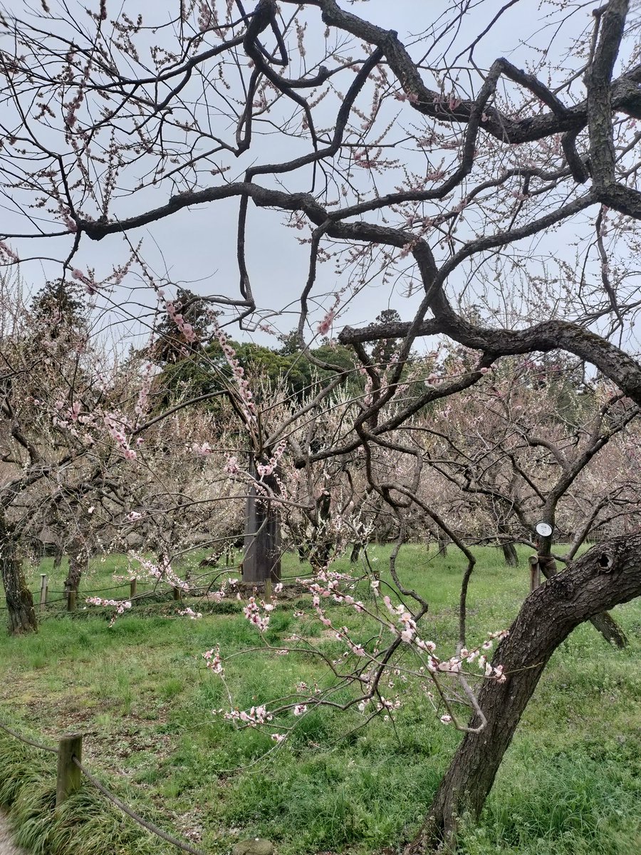 おはよう tweet media