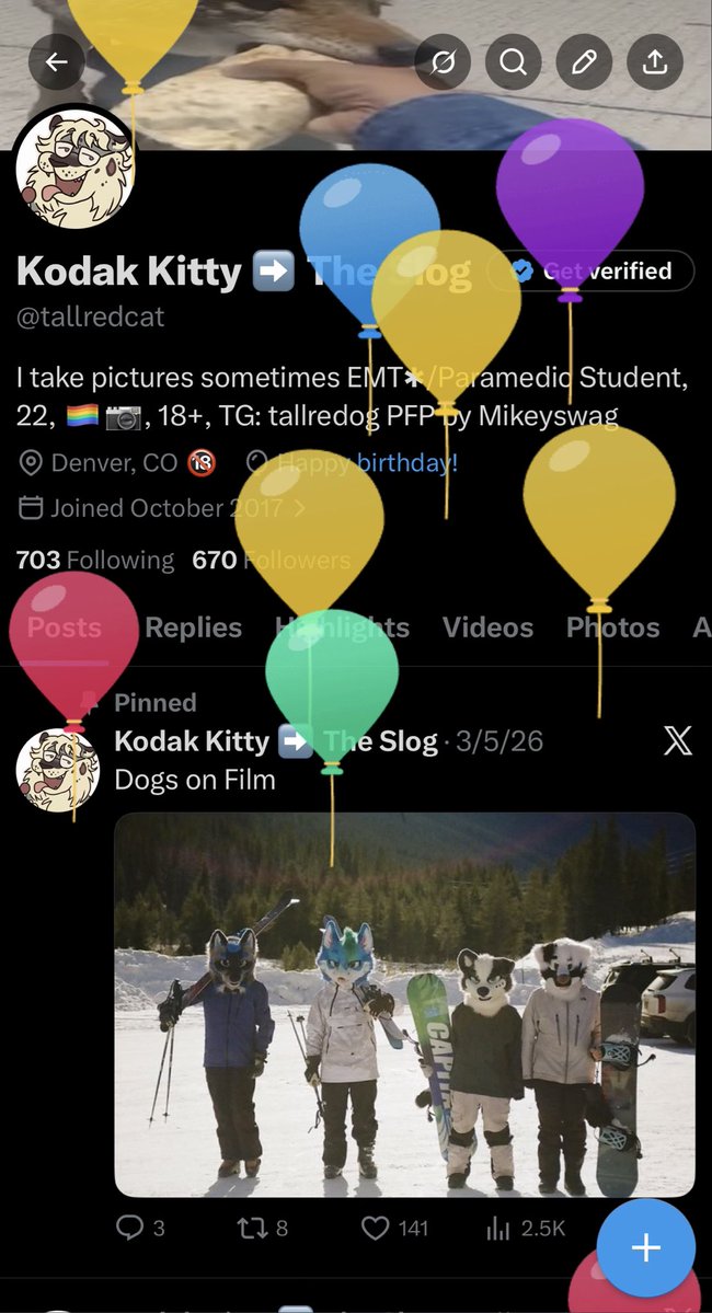 Kodak Kitty ➡️ The Slog tweet media