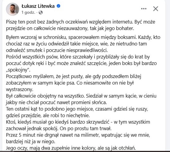RobwalkaW's tweet photo. Smutny post ...
Schronisko Miedary ...
Smutny,biedny,bezdomny,niewidzialny ... 
osobiście mnie się chce płakać,bo moja bezsilność sięga zenitu ...
może wśród Was jest ktoś kto odda mu serce ... https://t.co/LWE8kxp4Zl