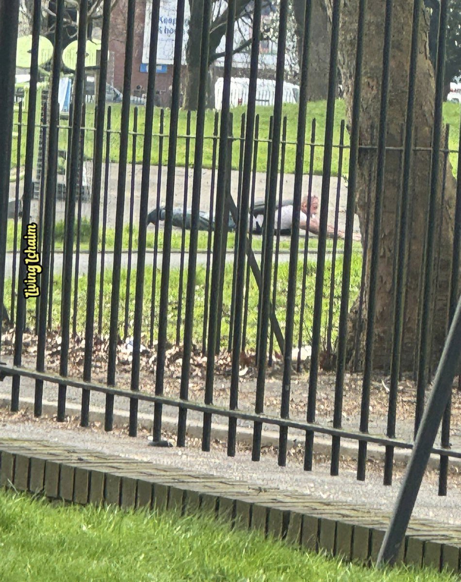 Yaakov Langer tweet media