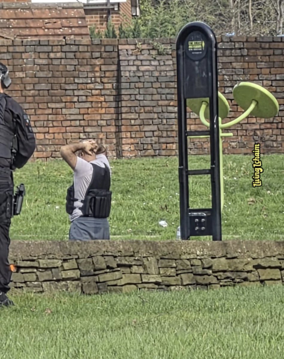 Yaakov Langer tweet media