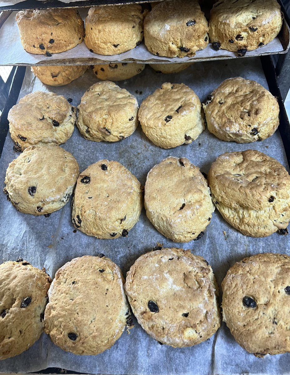 Yorkshire Pie Bakery tweet media