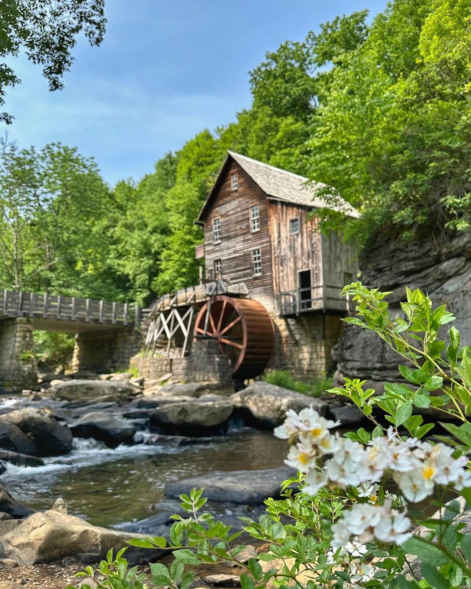 WV State Parks tweet media