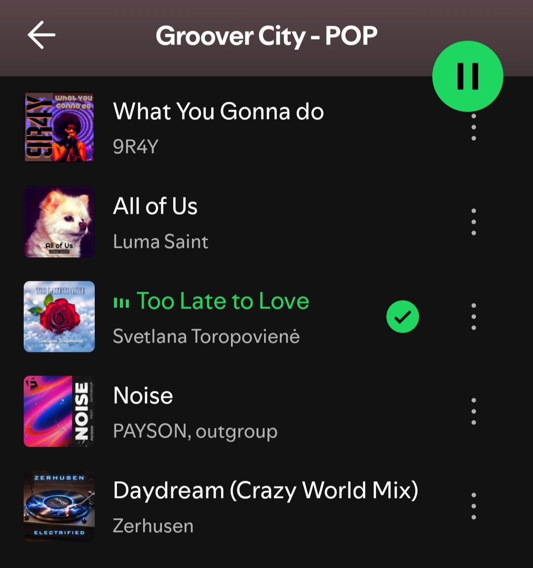 Svetlana Toropovienė ® tweet media