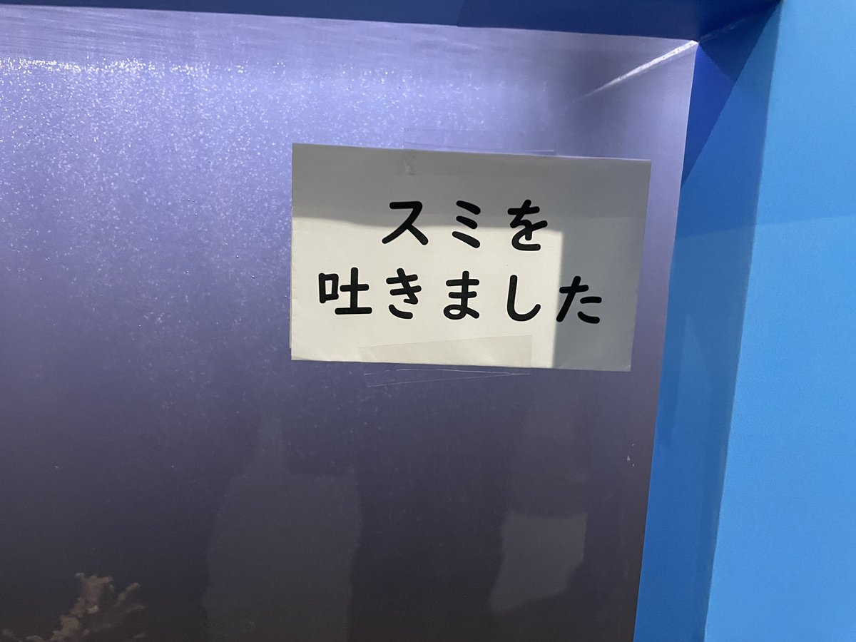 ゆたか tweet media