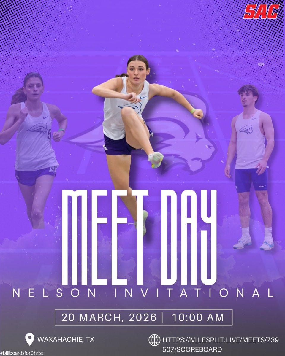 NelsonUXC/TF tweet media