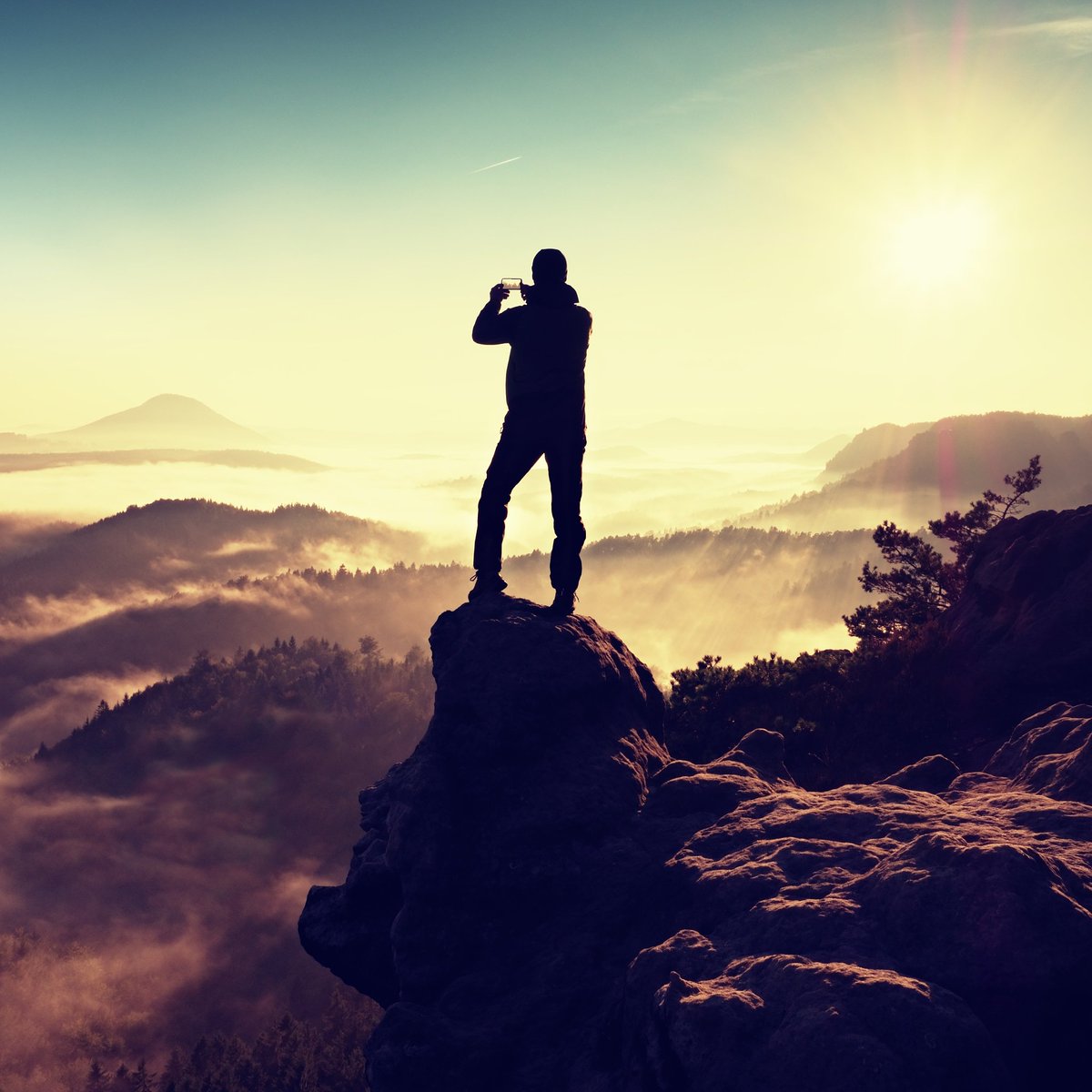 CJanel Macharia tweet media