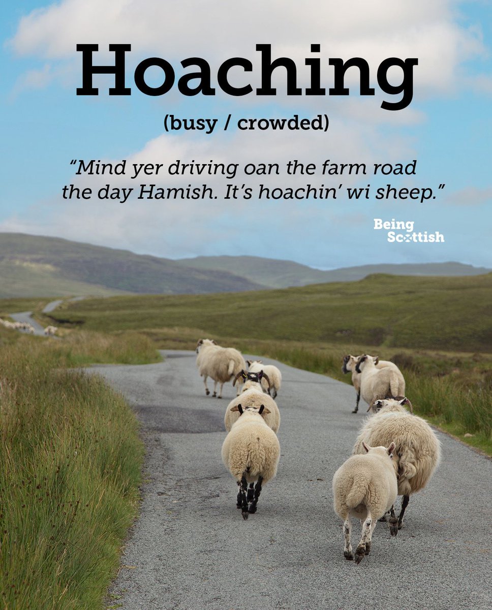 Being Scottish tweet media