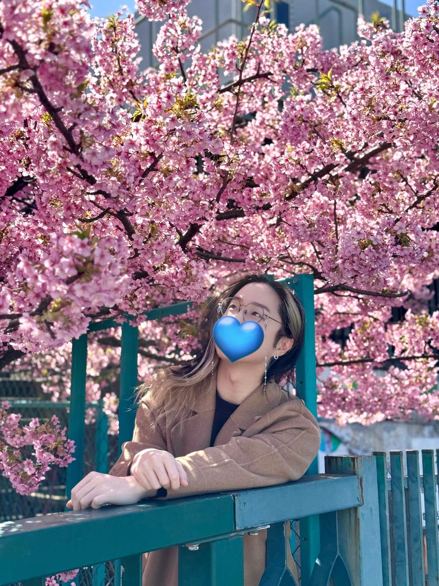 pearl 🦪 tweet media