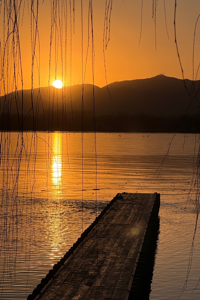 karine david tweet media