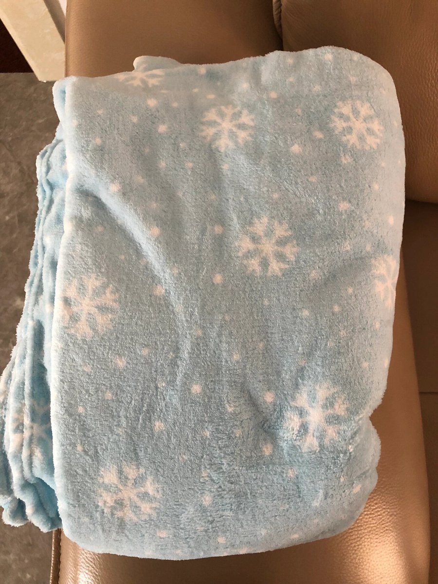 elisabetta volpe tweet media