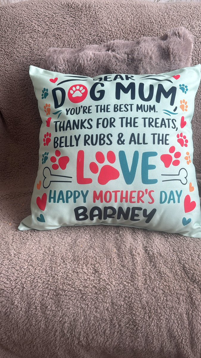 Bear41219's tweet photo. Look at whatโs arrived!!! I saved up all my pawket money for this should of arrived for Mothers Day but itโs here and Mammy loves it ๐พ๐๐พ๐๐พ #goodboy #happymammy https://t.co/Wg0GqcmGgt