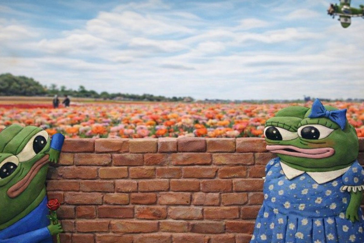 FullTimeTurtle tweet media