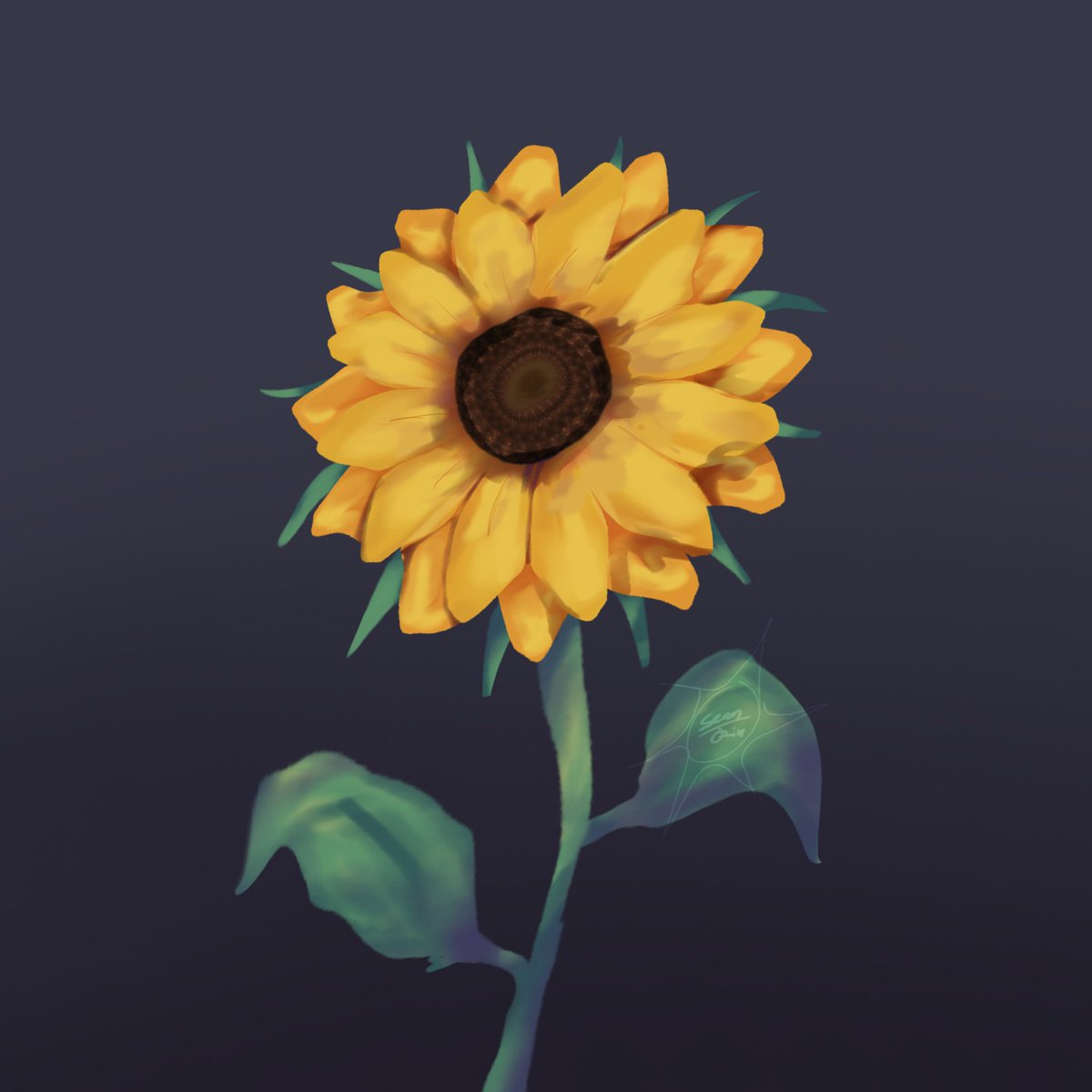 nilspacev0id's tweet photo. my attempt at drawing a sunflower.. lol

#sunflower #drawing #verybad https://t.co/4PkwAzhnCx