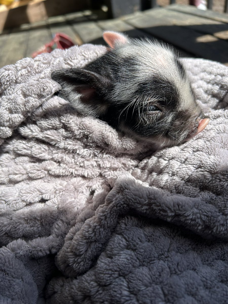 Marina 🫶❤️‍🔥 tweet media