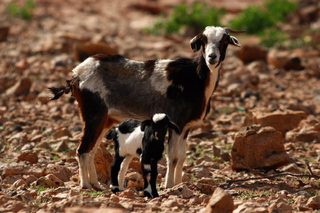 Universidad de La Laguna tweet media