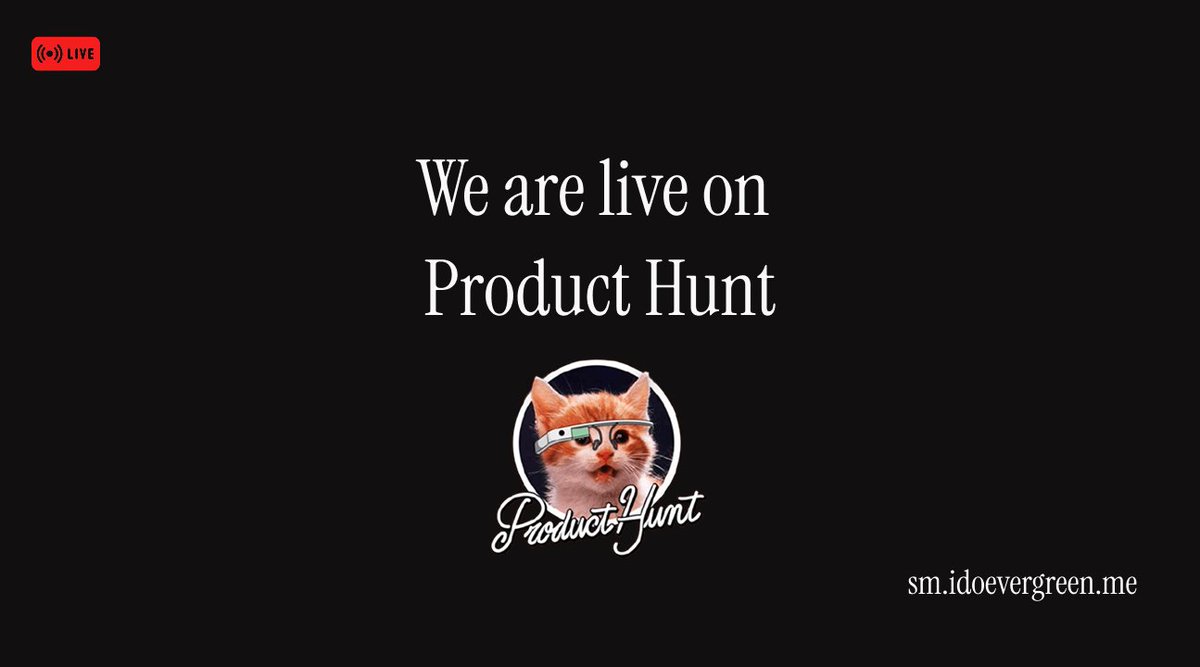 Ido Evergreen tweet media