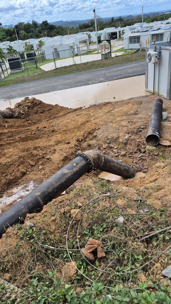 Hon.Jorge Navarro tweet media