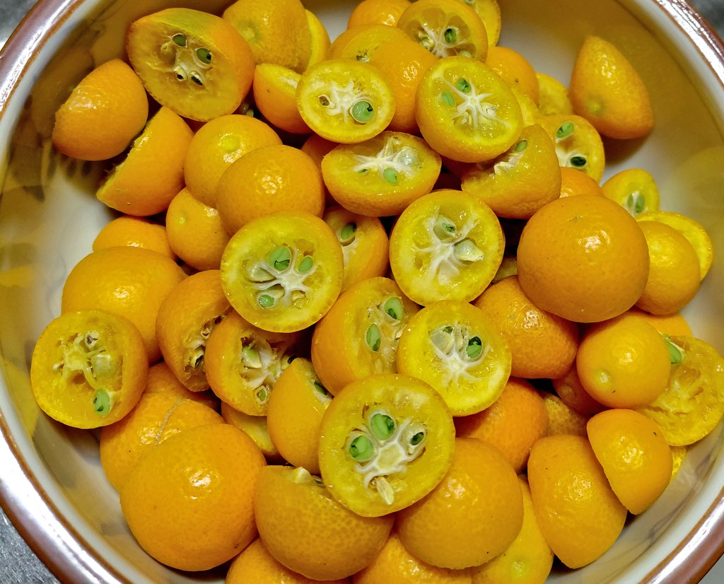 ゆいか tweet media