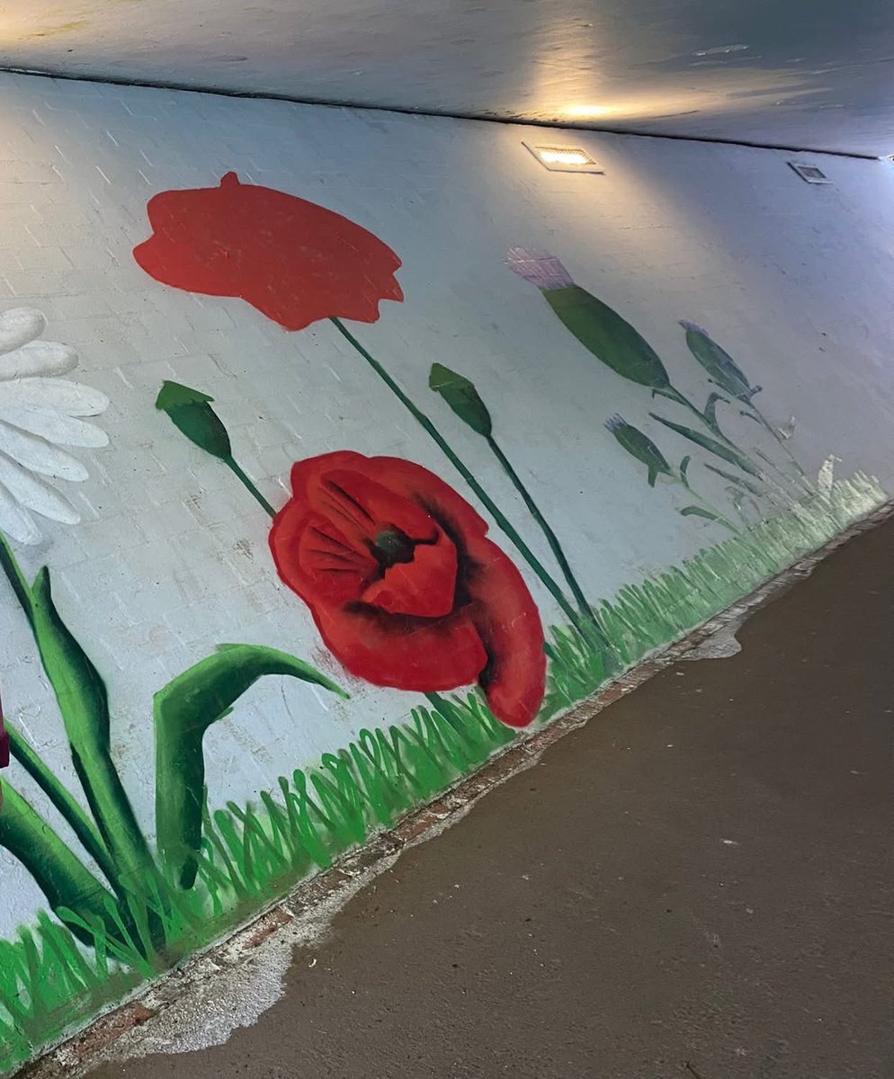 Solihull Updates tweet media