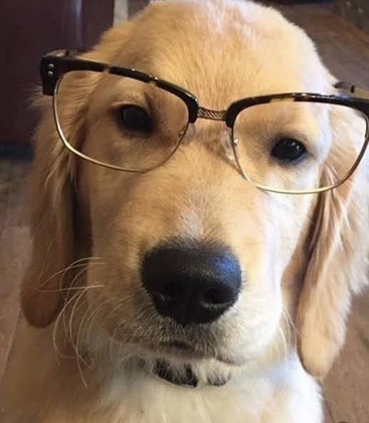 Kim Namjoon Source tweet media