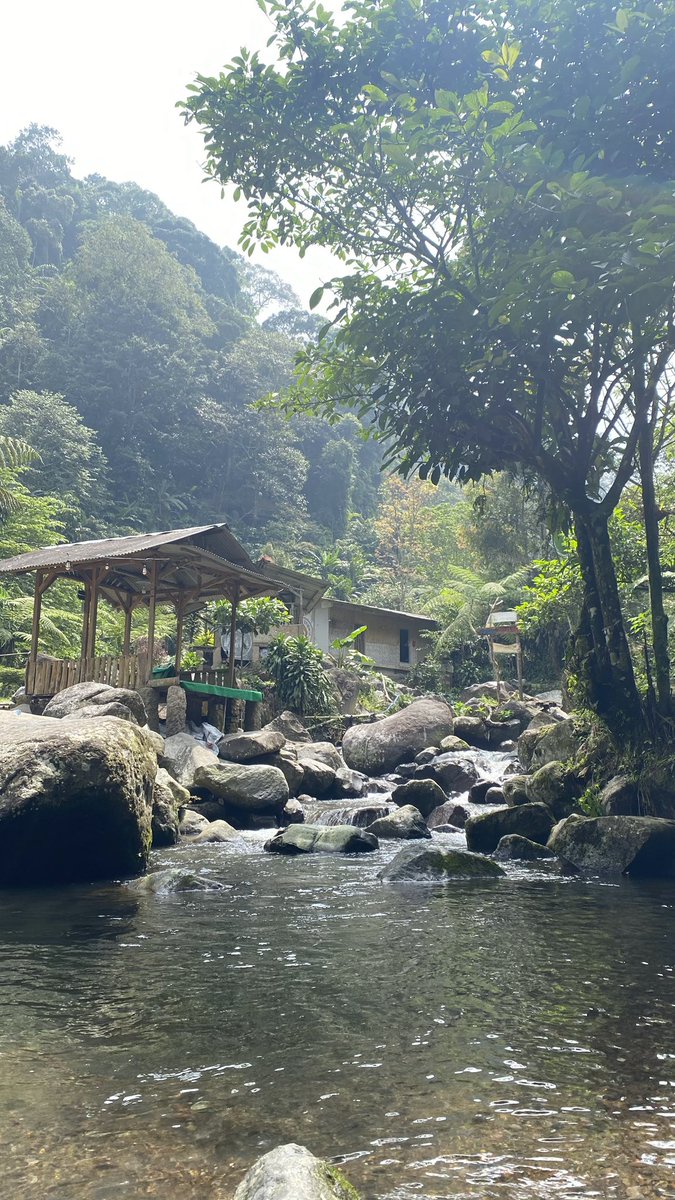 icha 🐣 tweet media