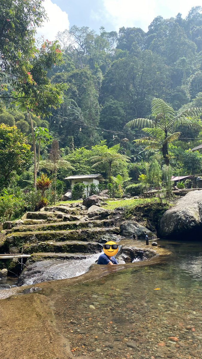 icha 🐣 tweet media