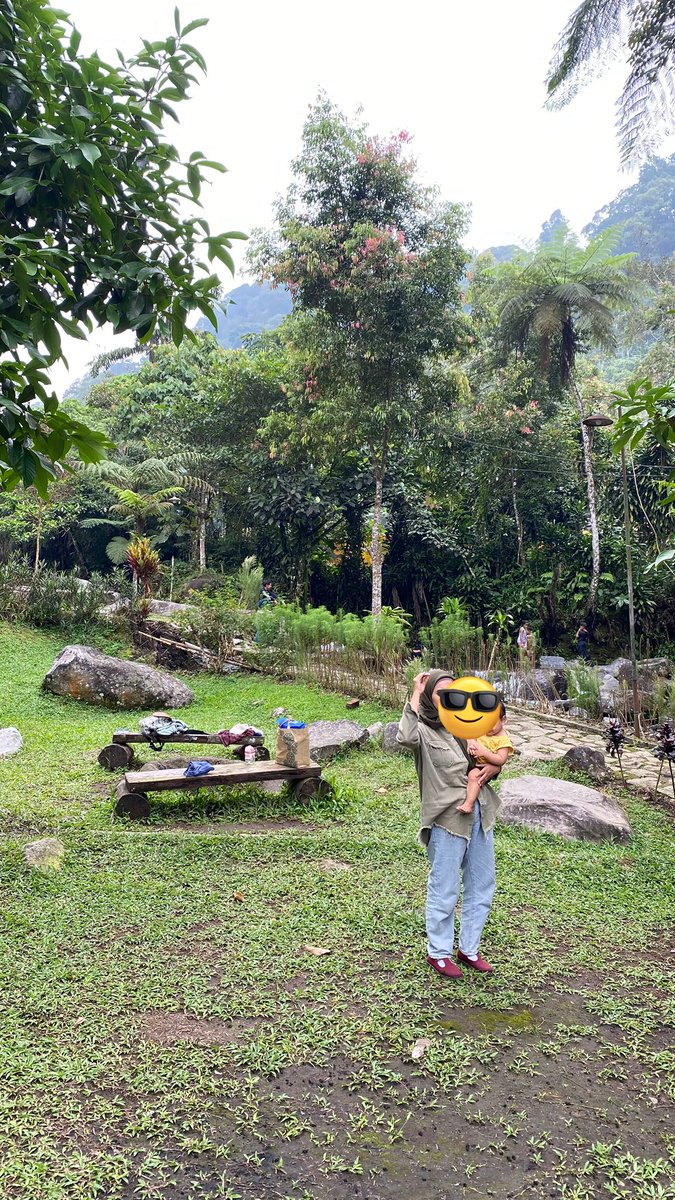 icha 🐣 tweet media