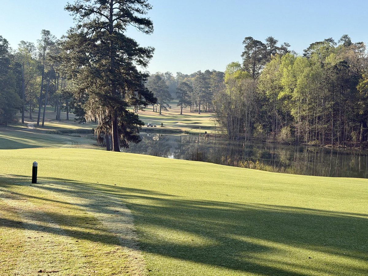 Steve Whitaker tweet media