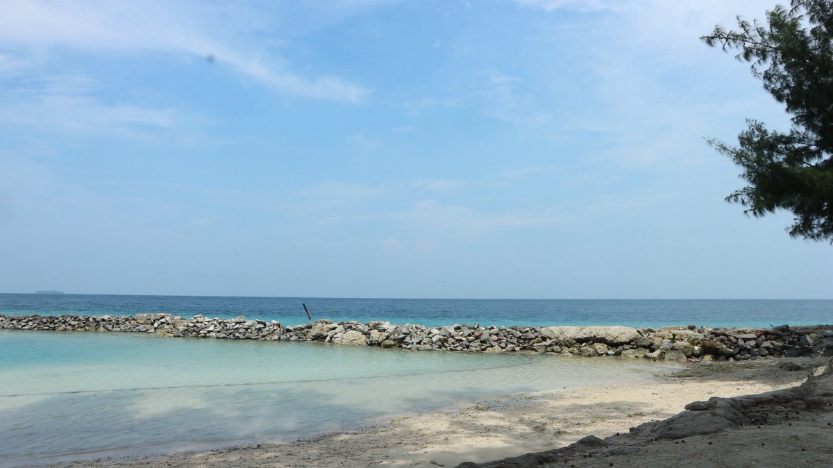 mickmacks tweet media