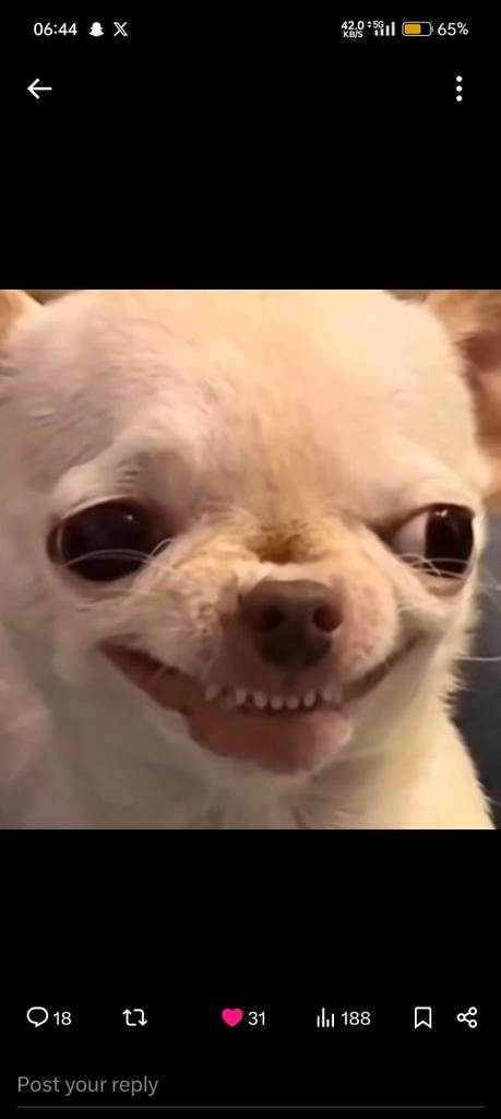 Wizdom | Full stack developer tweet media