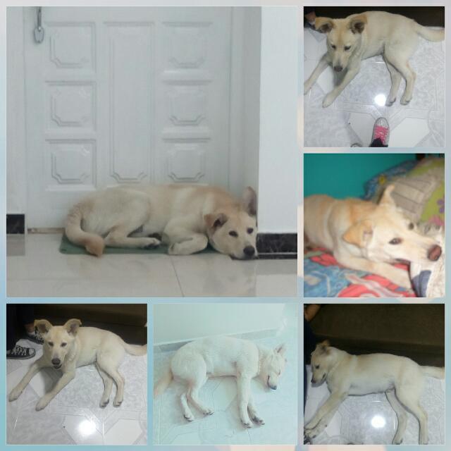 Paola Valderrama tweet media