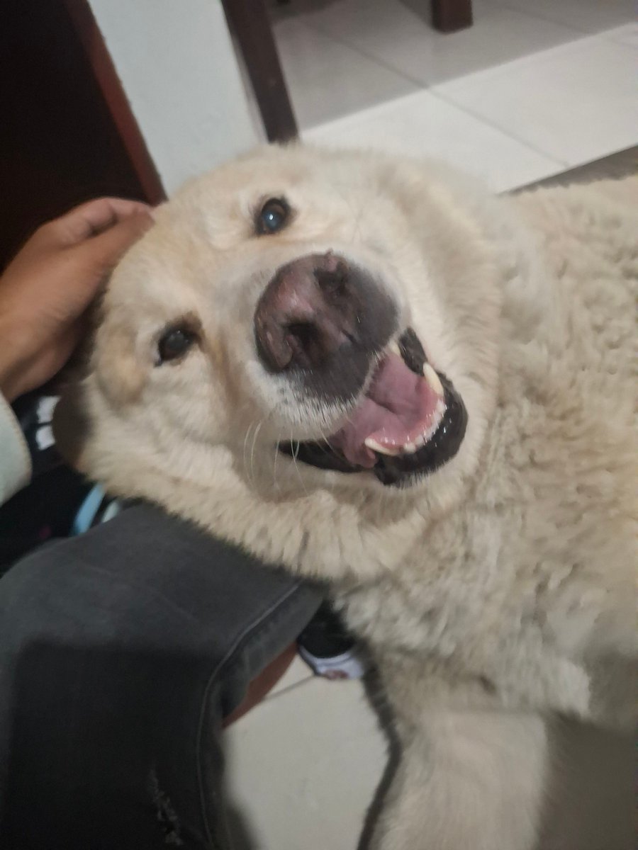 Paola Valderrama tweet media