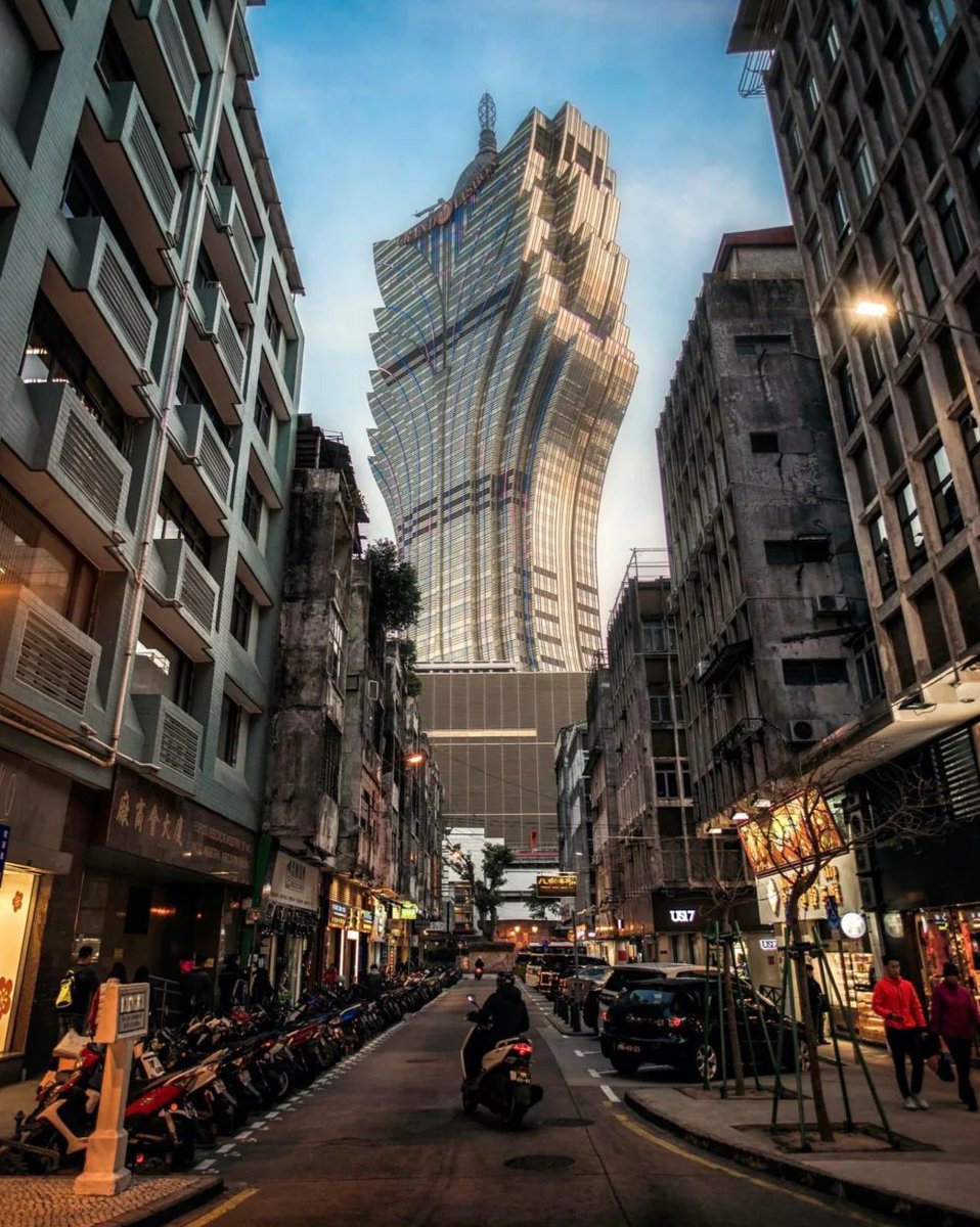 Lusca Fusca tweet media