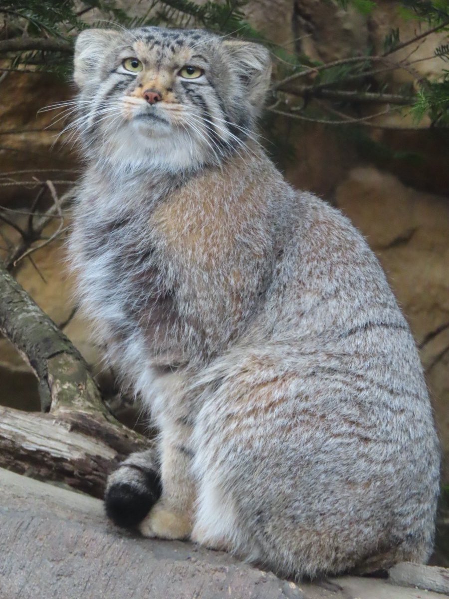 ゆーや★ tweet media