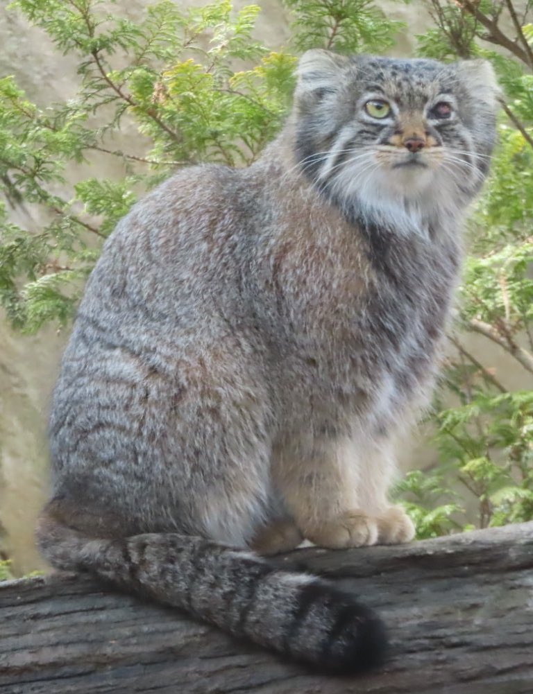 ゆーや★ tweet media