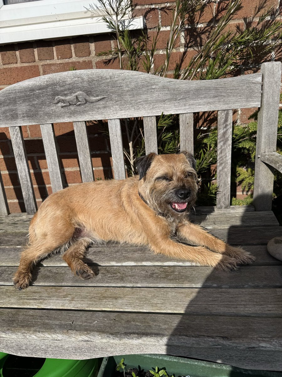 Christine Ramos Roberts 🇺🇦🇨🇦 tweet media