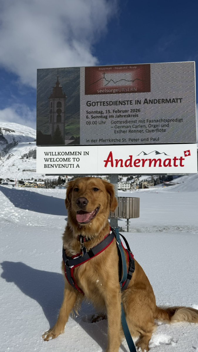 Rose the Golden tweet media