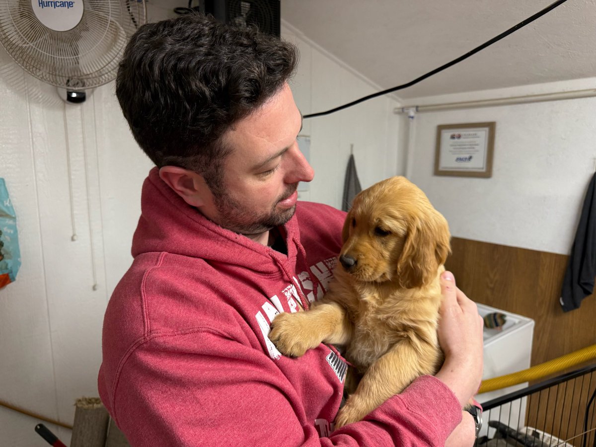 Rose the Golden tweet media