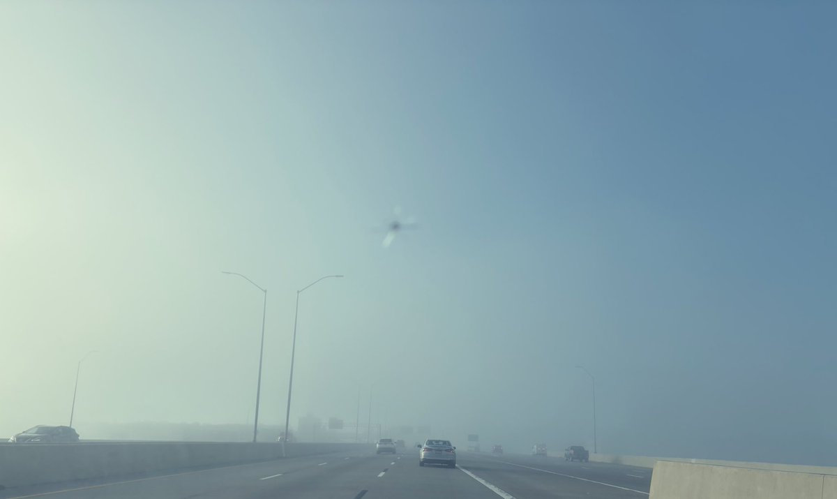 Avram Dorado tweet media