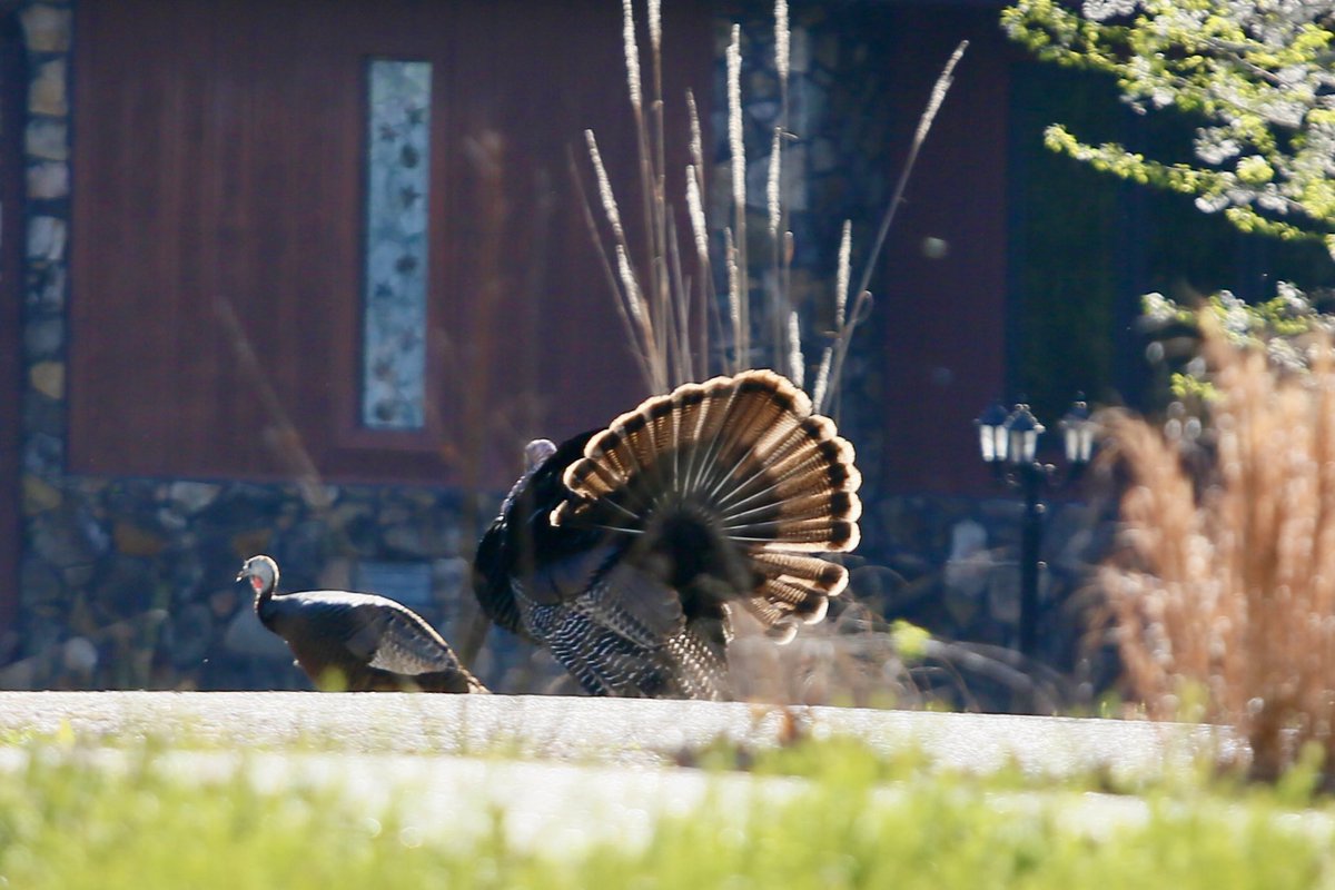 George Page 🤵 tweet media