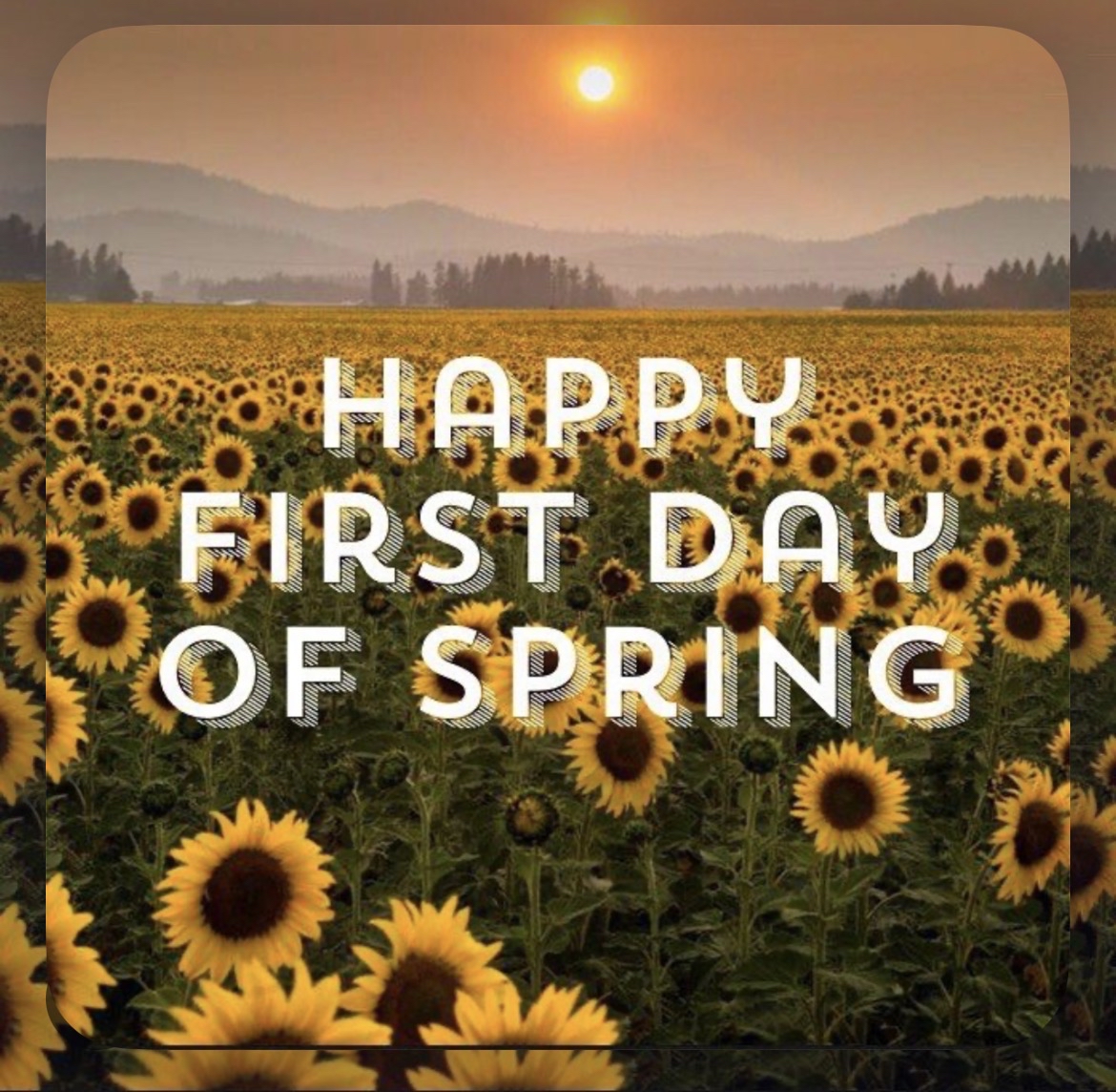 DeKalbHighSchool tweet media